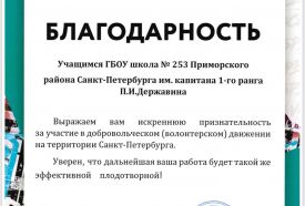 Благодарность Комитета по молодёжной политике и Центра добровольцев Санкт-Петербурга за нашу помощь людям